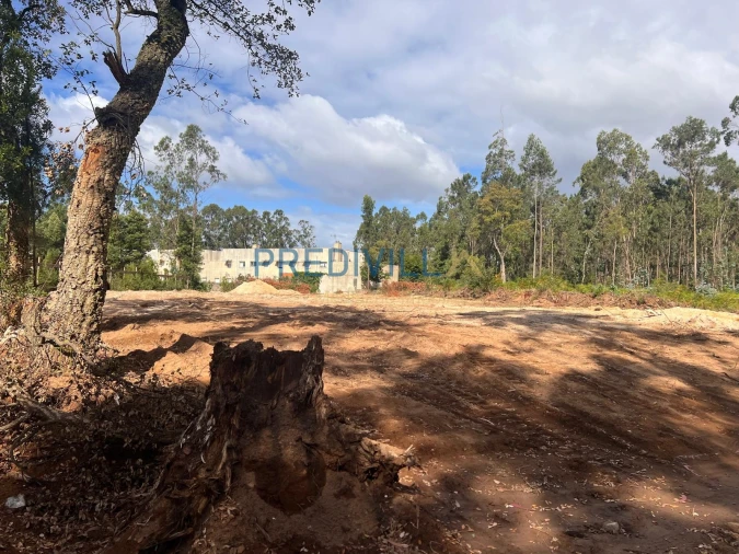 Terreno para Venda em Vilar e Mosteiró Foto 3