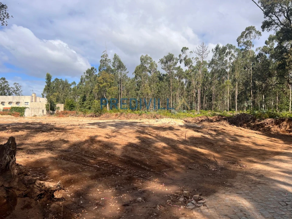 Terreno para Venda em Vilar e Mosteiró Foto 2