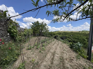 Moradia T2 para Venda em Sambade
