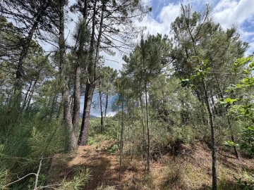Terreno para Venda em Lordelo