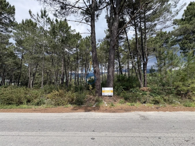Terreno para Venda em Lordelo Foto 3