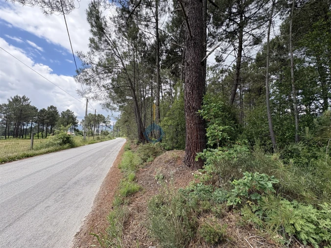 Terreno para Venda em Lordelo Foto 8