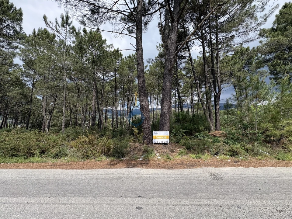 Terreno para Venda em Lordelo Foto 3