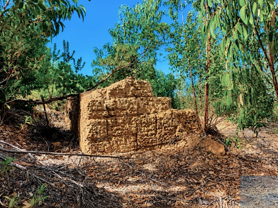 Terreno para Venda em São Teotónio Foto 5