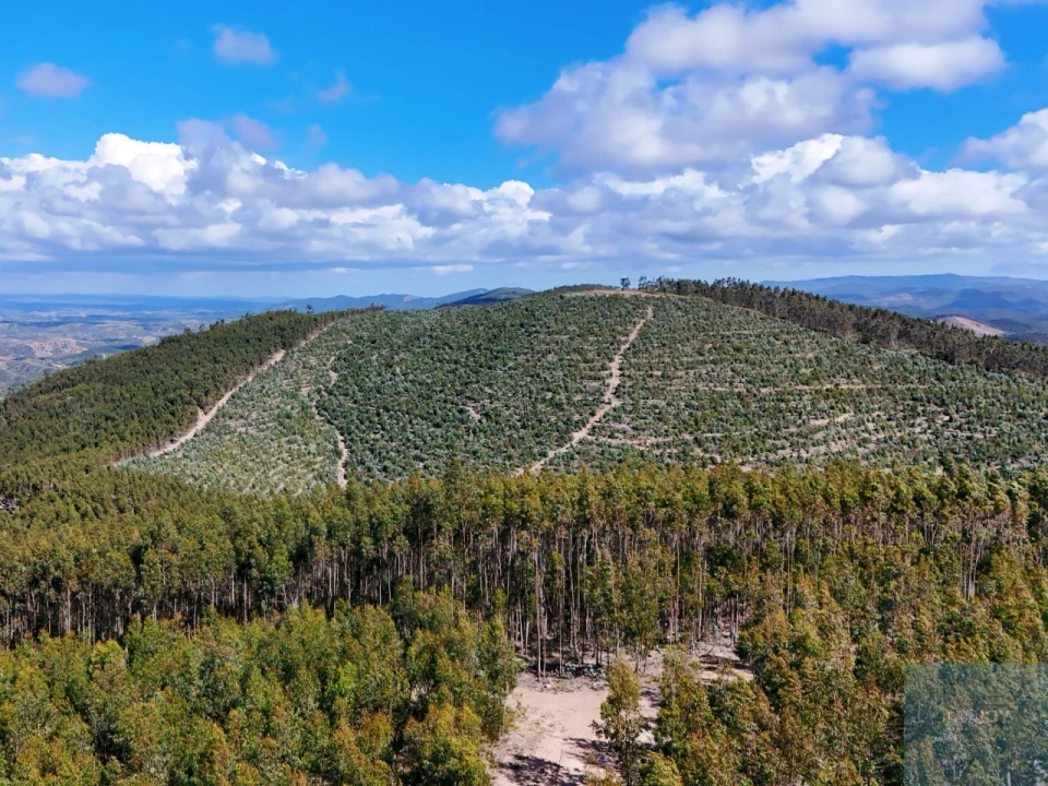 Terreno para Venda em São Teotónio Foto 7