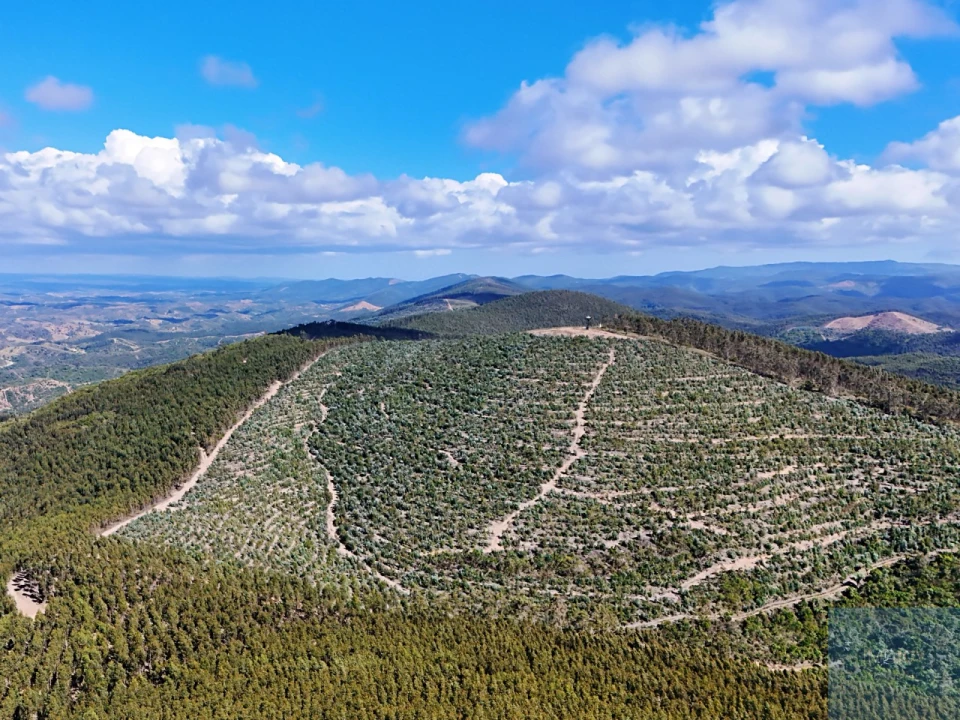 Terreno para Venda em São Teotónio Foto 3