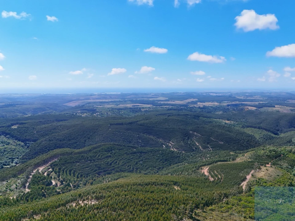 Terreno para Venda em São Teotónio Foto 8