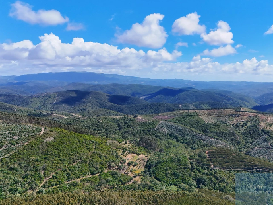 Terreno para Venda em São Teotónio Foto 9