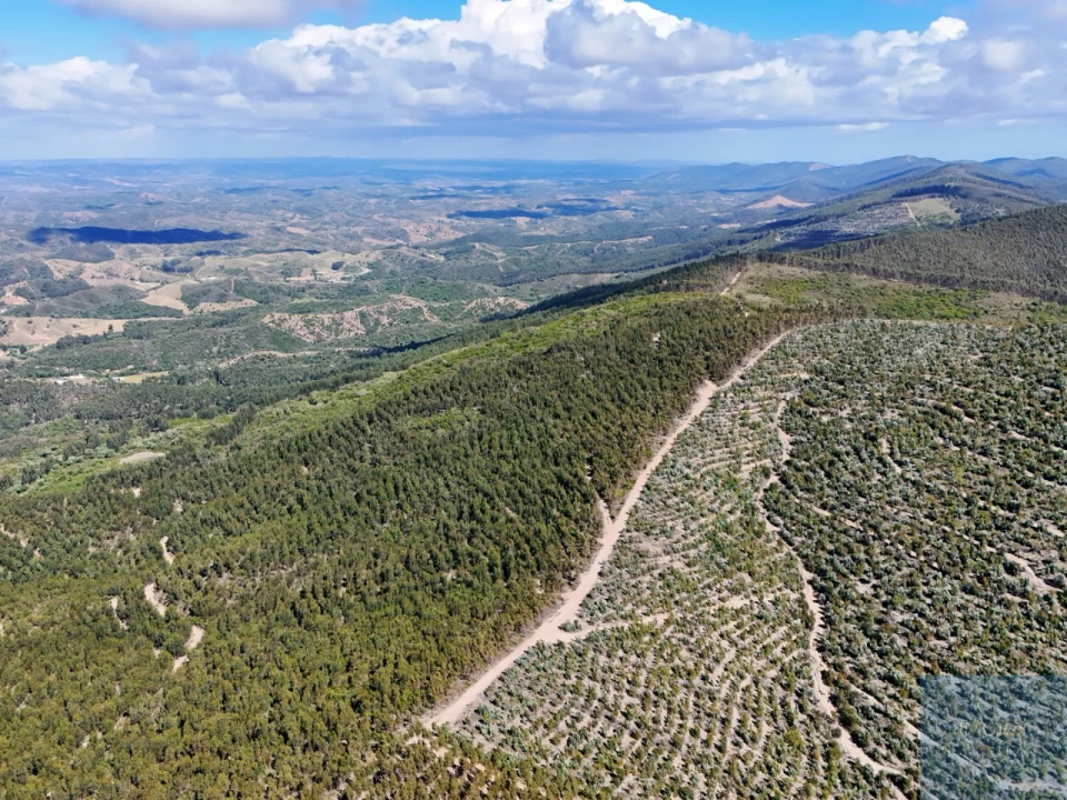 Terreno para Venda em São Teotónio Foto 10