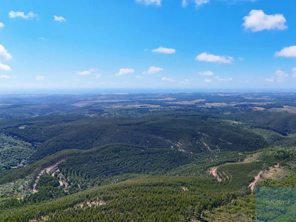Terreno para Venda em São Teotónio Foto 11