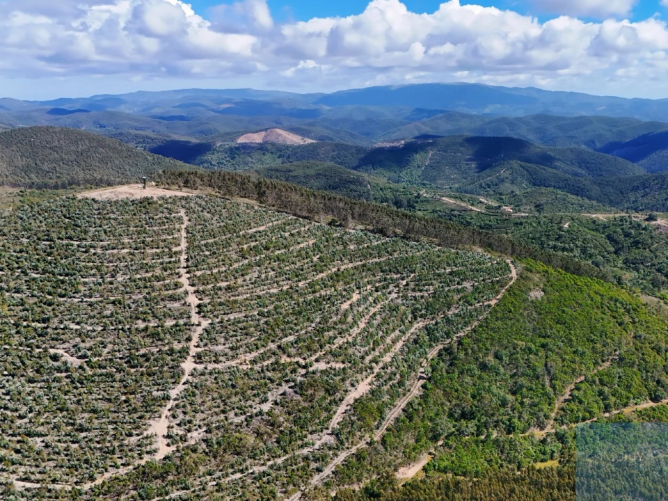 Terreno para Venda em São Teotónio Foto 12