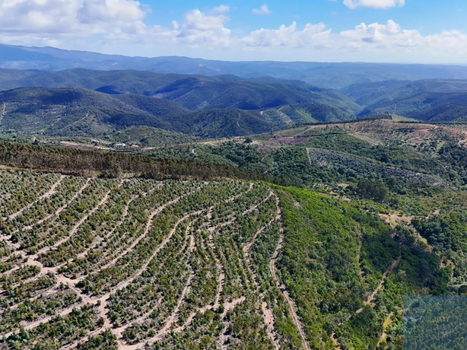 Terreno para Venda em São Teotónio Foto 13