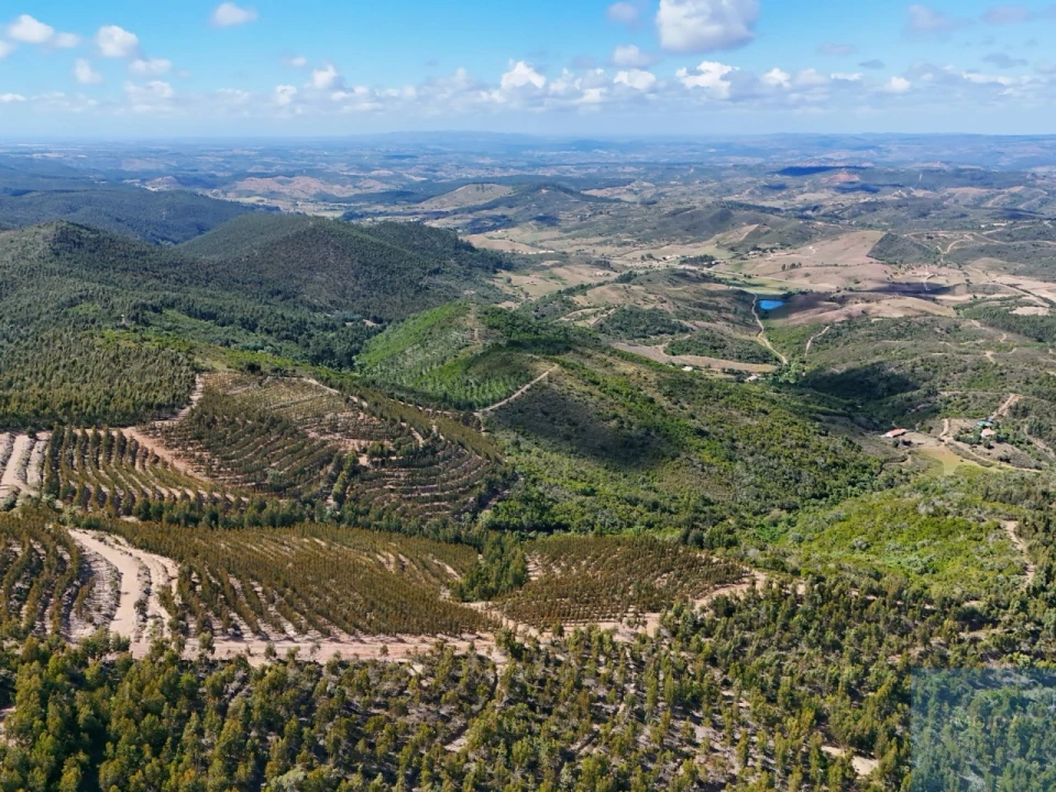 Terreno para Venda em São Teotónio Foto 17