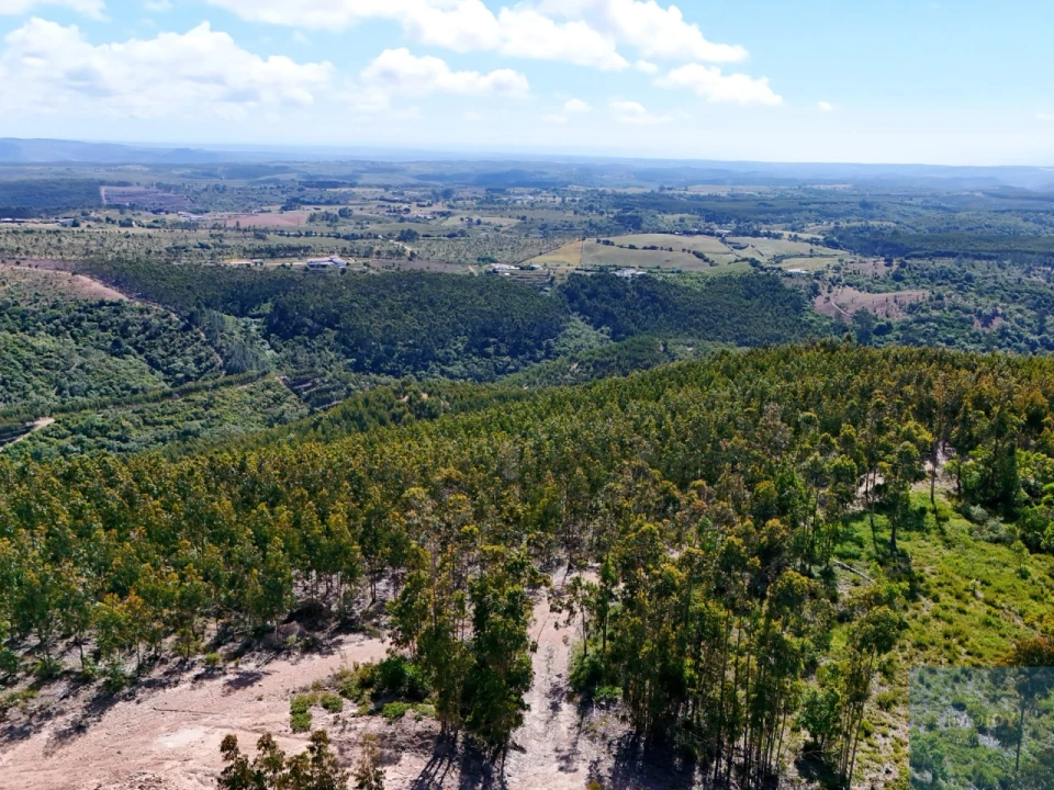 Terreno para Venda em São Teotónio Foto 19