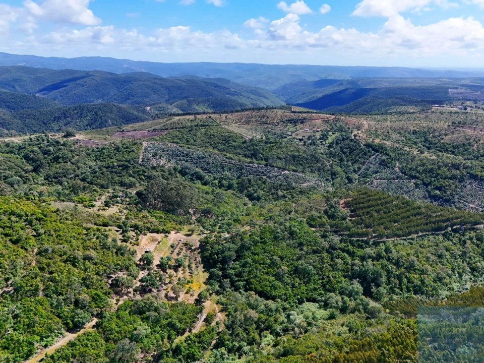 Terreno para Venda em São Teotónio Foto 20