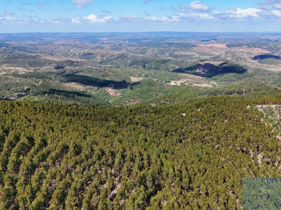 Terreno para Venda em São Teotónio Foto 22