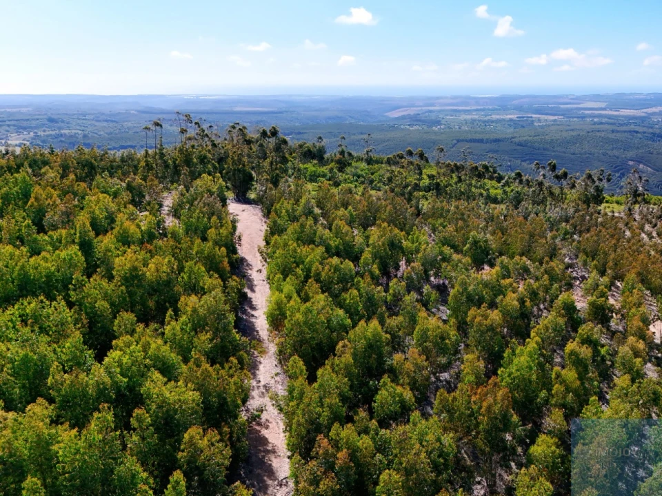 Terreno para Venda em São Teotónio Foto 23