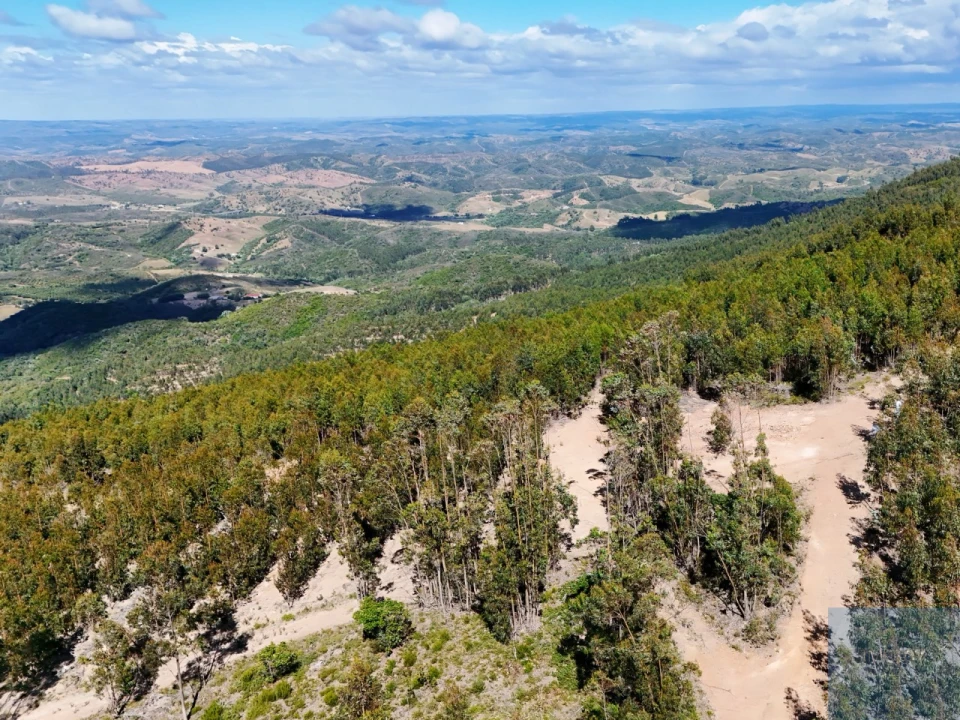 Terreno para Venda em São Teotónio Foto 25