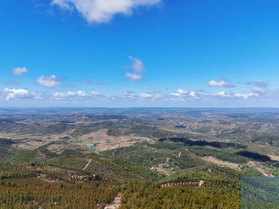 Terreno para Venda em São Teotónio Foto 27