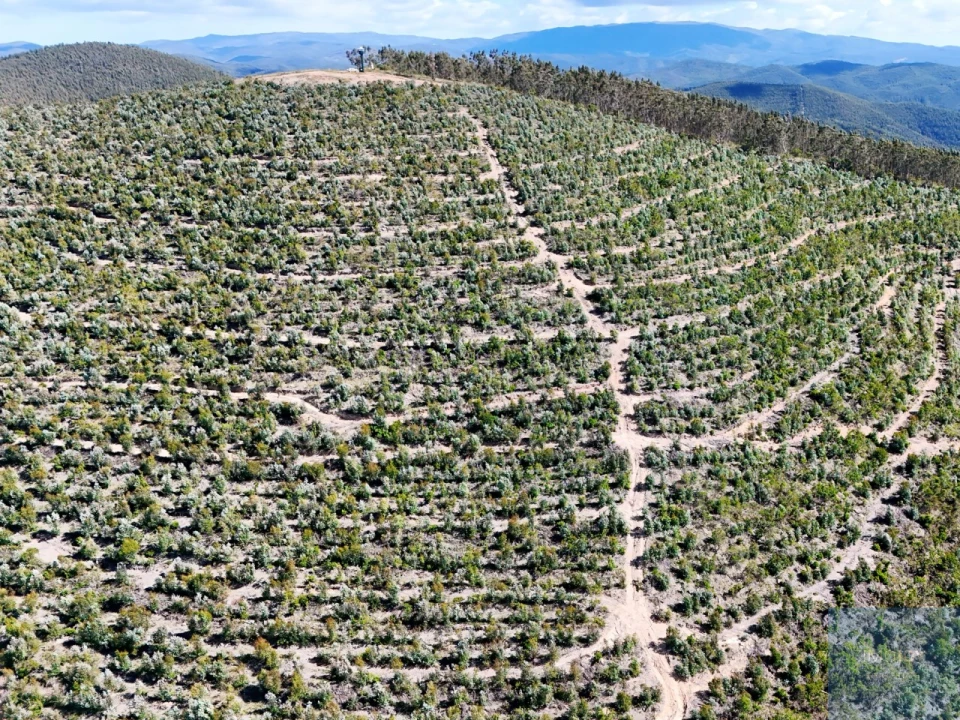 Terreno para Venda em São Teotónio Foto 28
