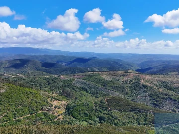 Terreno para Venda em São Teotónio