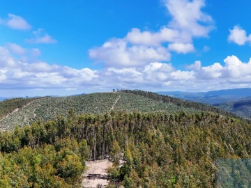 Terreno para Venda em São Teotónio