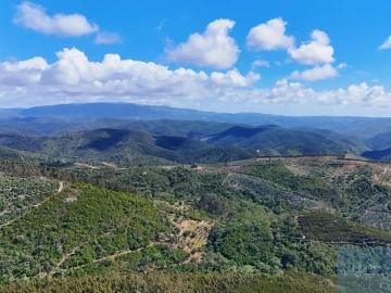 Terreno para Venda em São Teotónio