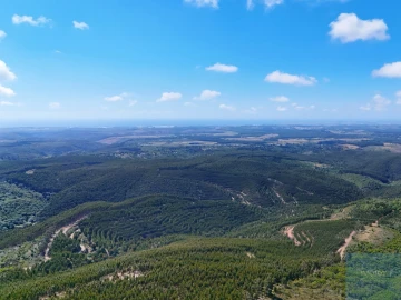 Terreno para Venda em São Teotónio