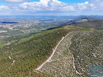 Terreno para Venda em São Teotónio