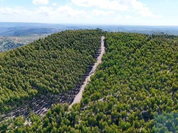 Terreno para Venda em São Teotónio