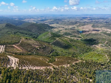 Terreno para Venda em São Teotónio