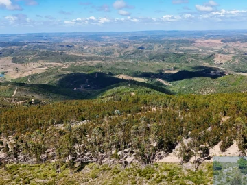 Terreno para Venda em São Teotónio