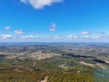 Terreno para Venda em São Teotónio