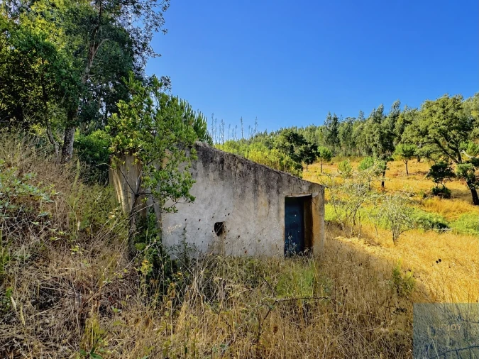 Terreno para Venda em São Teotónio Foto 4