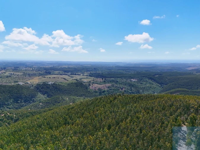 Terreno para Venda em São Teotónio Foto 6