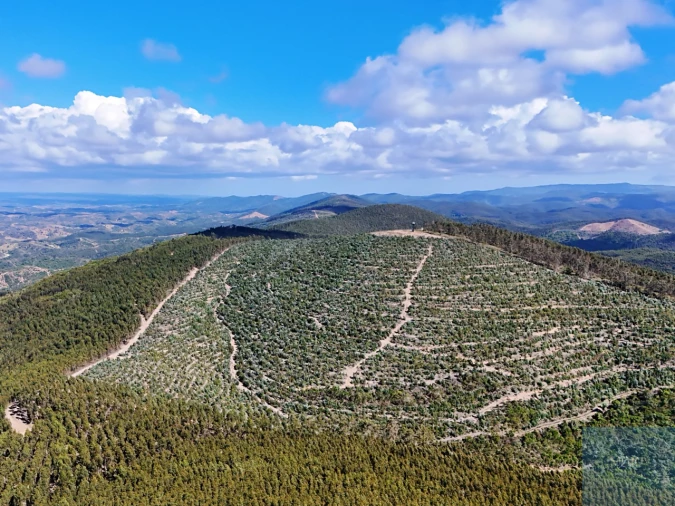 Terreno para Venda em São Teotónio Foto 3