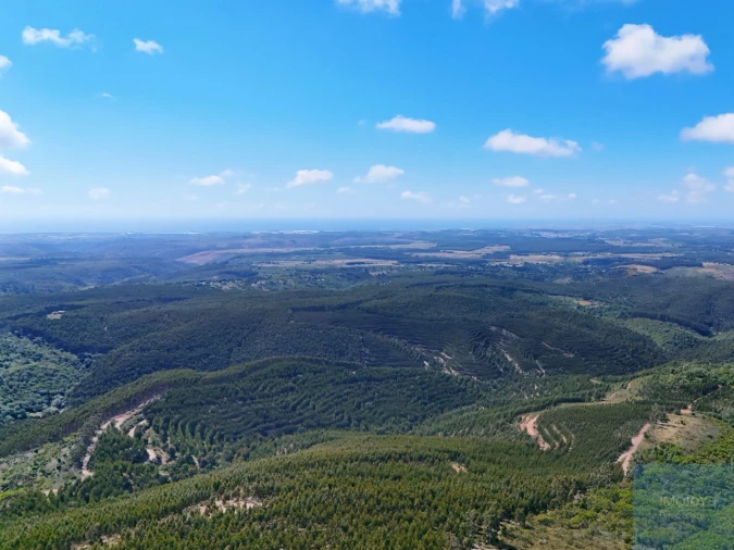 Terreno para Venda em São Teotónio Foto 11
