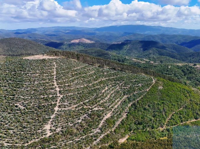 Terreno para Venda em São Teotónio Foto 12