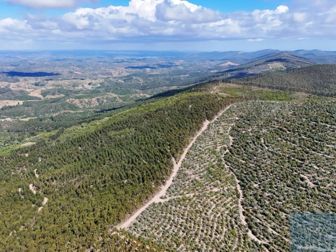 Terreno para Venda em São Teotónio Foto 14