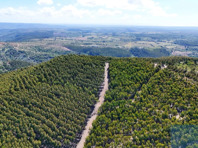 Terreno para Venda em São Teotónio Foto 15
