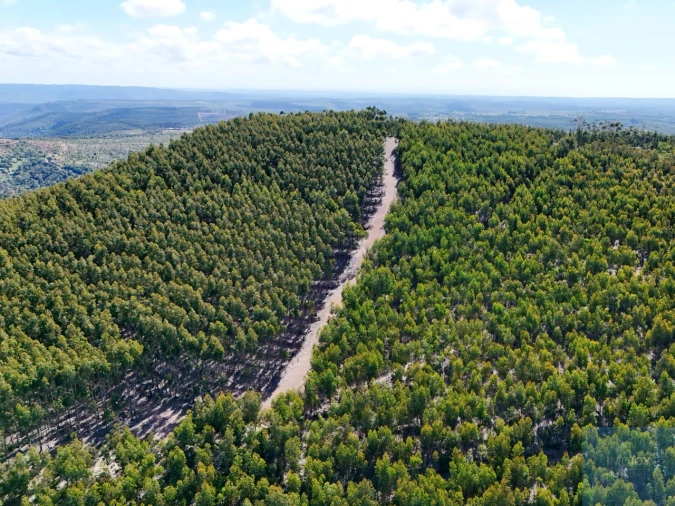 Terreno para Venda em São Teotónio Foto 16