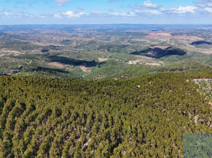 Terreno para Venda em São Teotónio Foto 22
