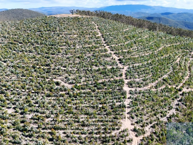 Terreno para Venda em São Teotónio Foto 28