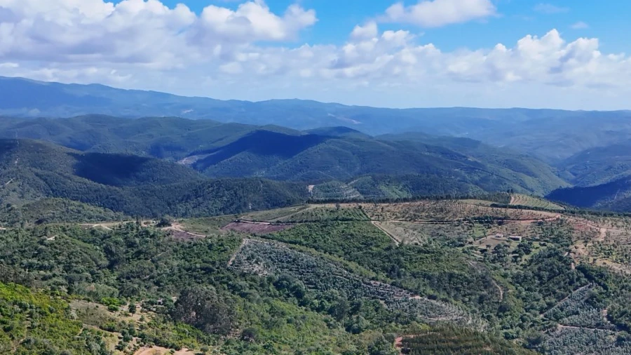 Terreno para Venda em São Teotónio