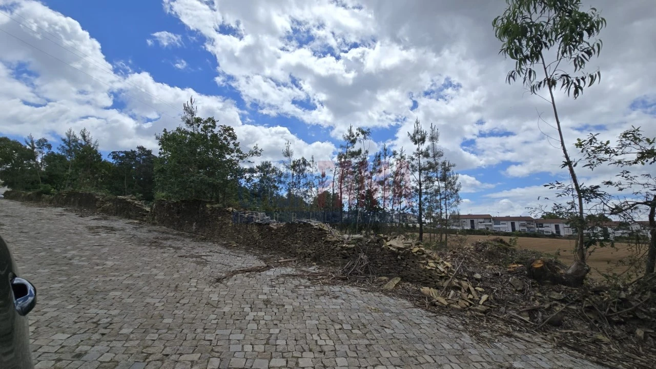 Terreno para Venda em Fradelos Foto 4