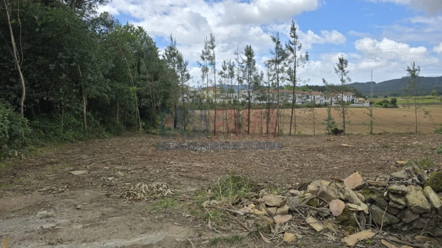 Terreno para Venda em Fradelos Foto 6