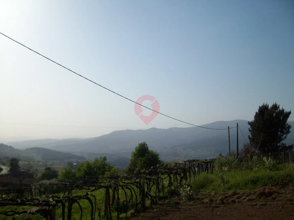 Terreno para Venda em São Paio Foto 5