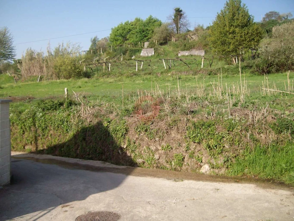 Terreno para Venda em São Paio Foto 1