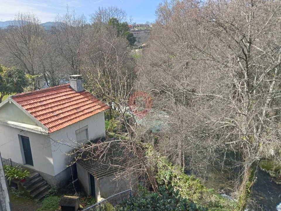 Negócio para Venda em Ceivães e Badim Foto 13