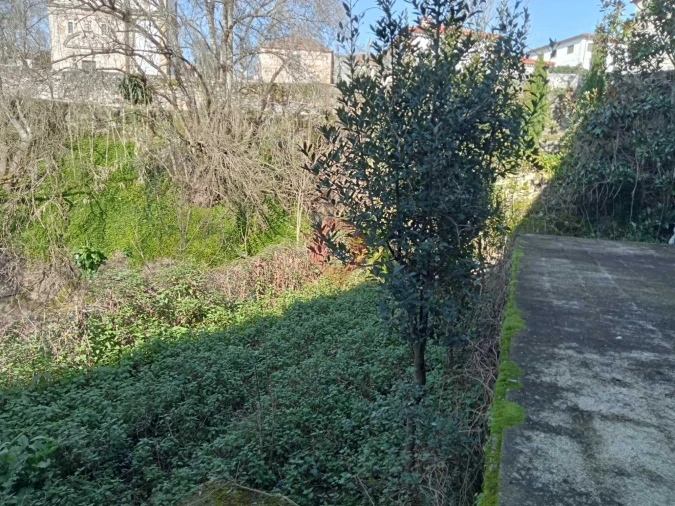 Negócio para Venda em Ceivães e Badim Foto 8